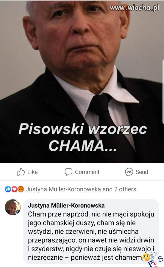 To prędzej definicja psychopaty