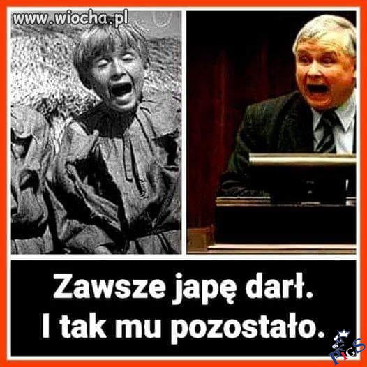 Zawsze japę darł
