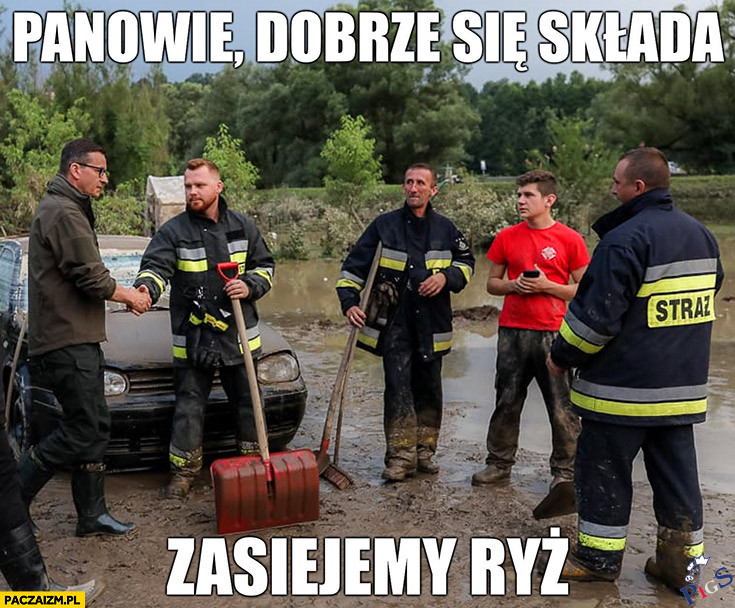 Bedzie na miski ryżu