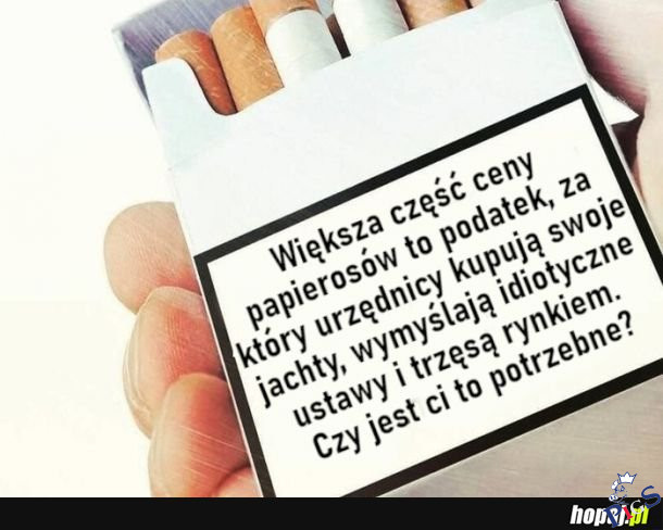 Co gorsze: jachty czy idiotyczne ustawy?