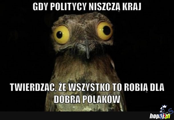 Gdy politycy niszczą kraj