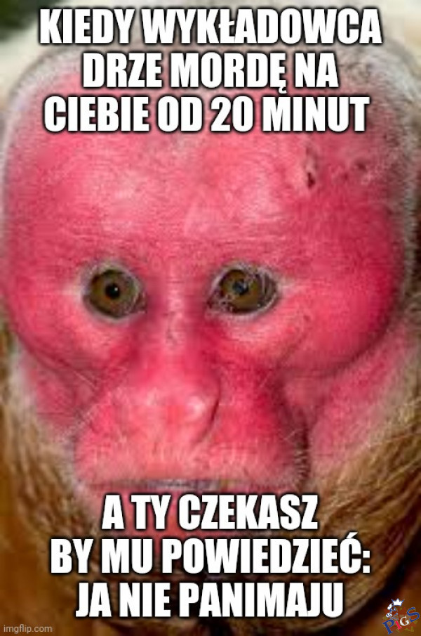 Ja nie panimaju
