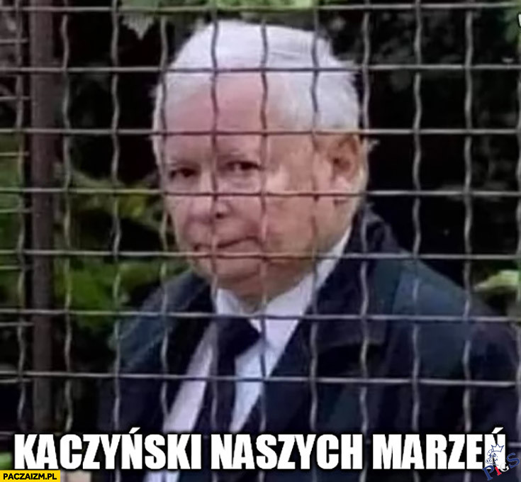 Kaczyński naszych marzeń