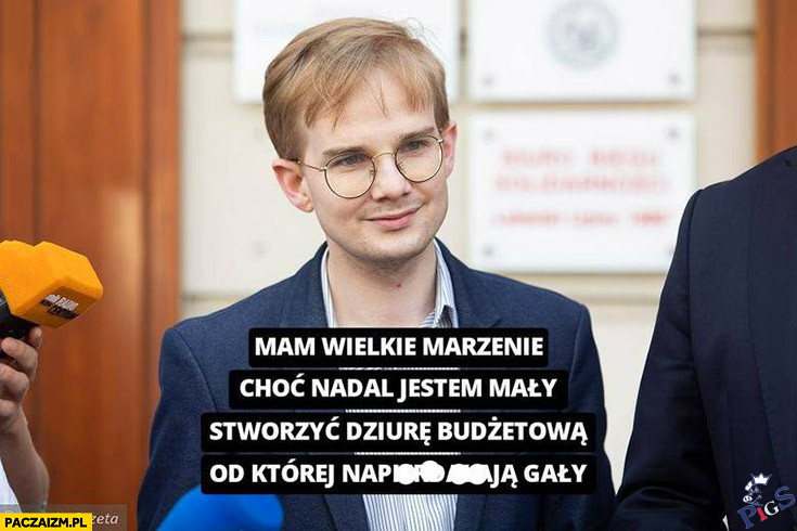 Marzenia wiceministra