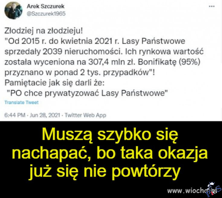 Muszą się szybko napchać bo taka okazja się już nie powtórzy