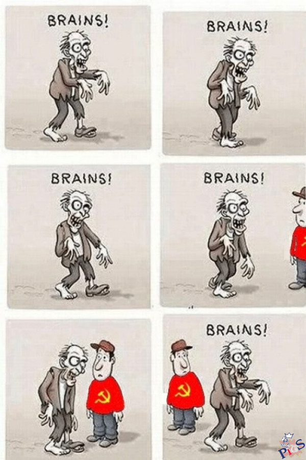Obok PiSiorka też by tak przeszedł