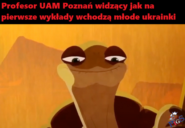 Profesor UAM Poznań