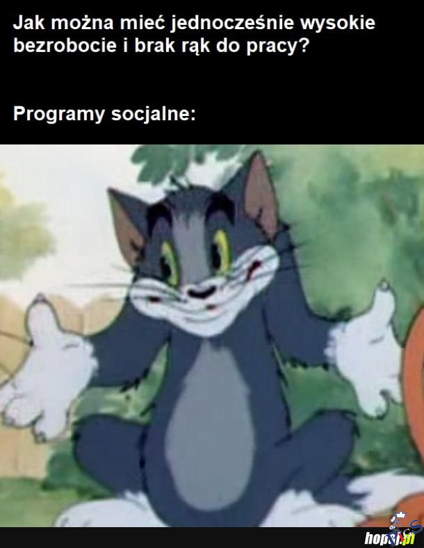 Programy socjalne