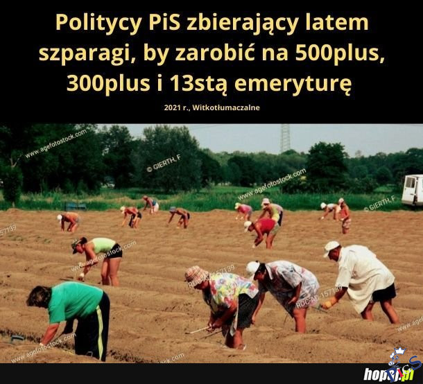 Witkotłumaczalne