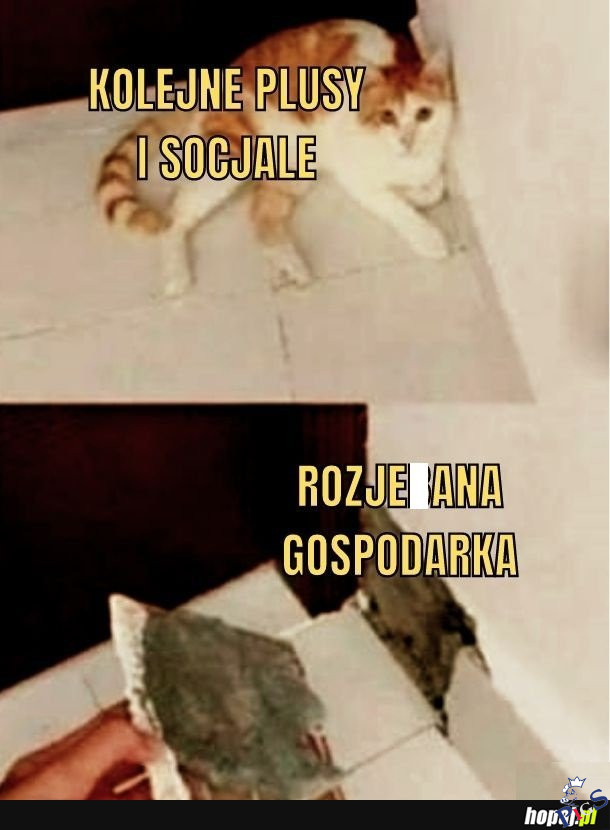 Może trochę nadpsuta