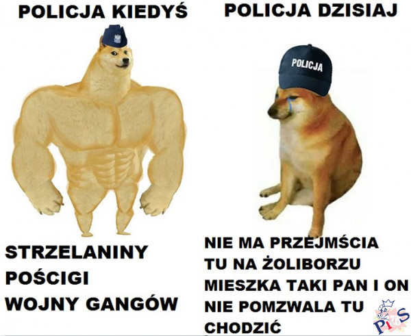 Na Żoliborzu mieszka pewien pan