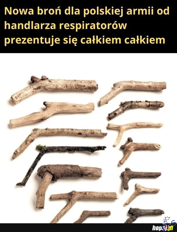 Nowa broń dla polskiej armii