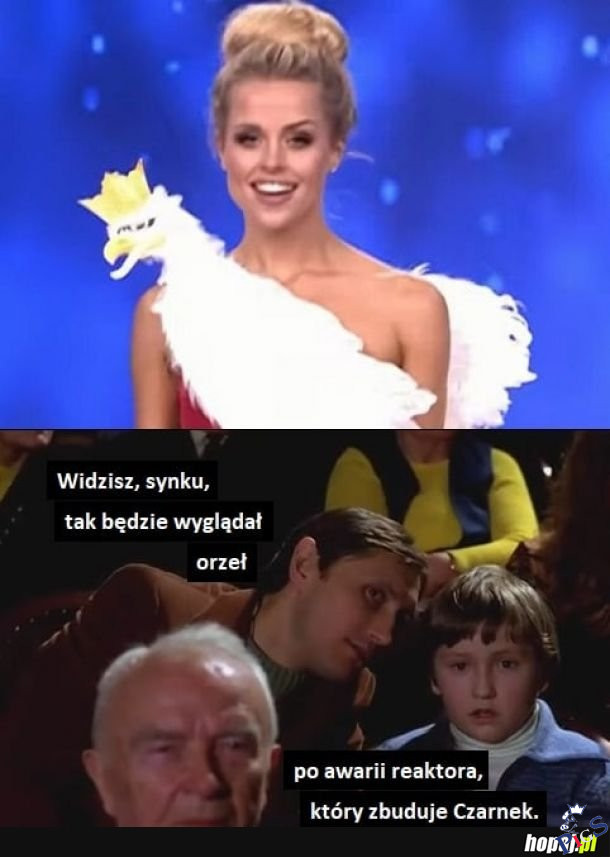 Orzeł po awarii reaktora