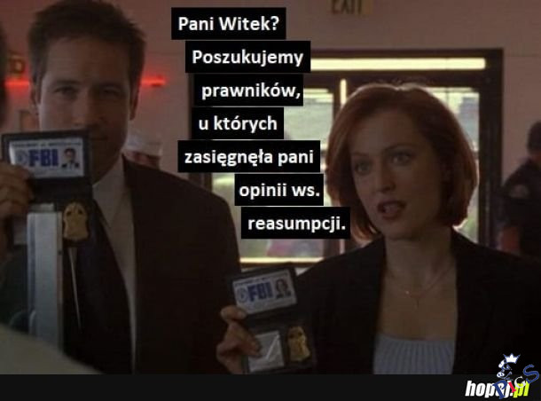 Pani Witek?