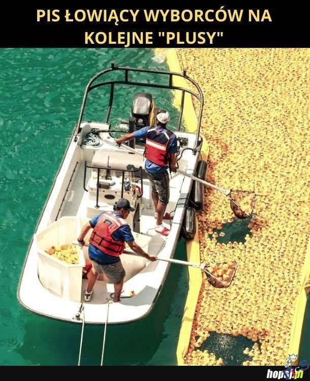 PiS łowiący wyborców na kolejne Plusy