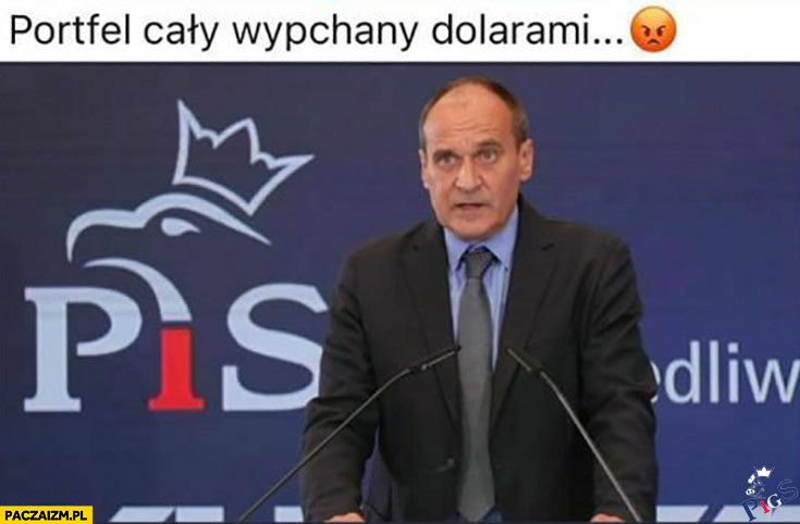 Portfel wypchany dolarami