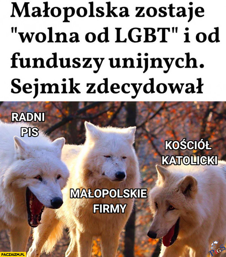 Radni PiS vs. małopolskie firmy
