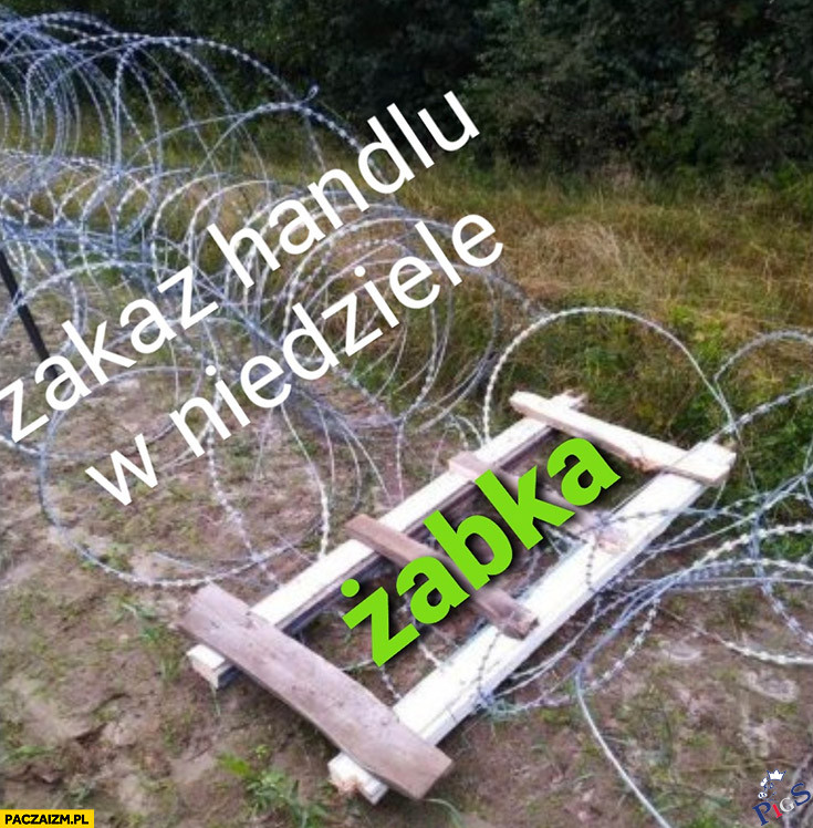Uchodźcy pozamiatali niczym Żabka zakaz handlu