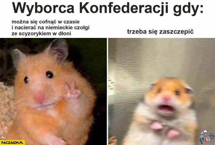 Wyborca Konfederacji