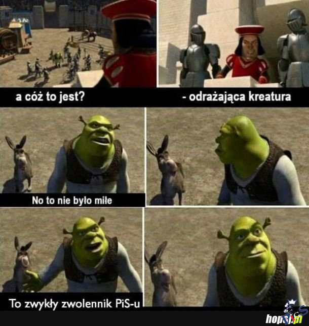Zwykły zwolennik PiSu