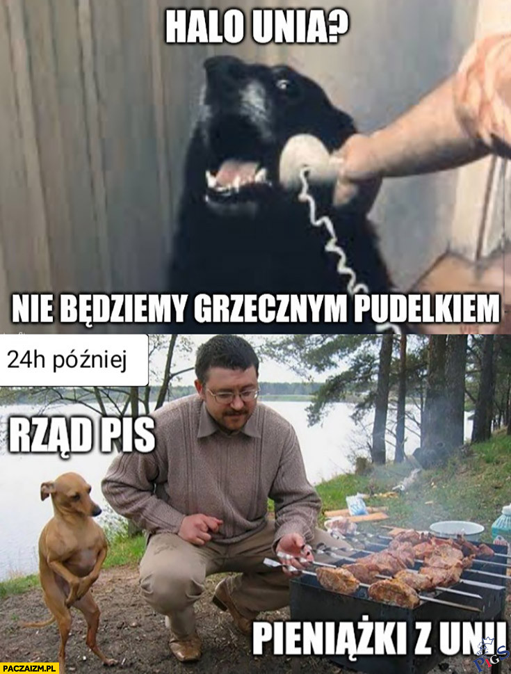 24h po oficjalnym oświadczeniu
