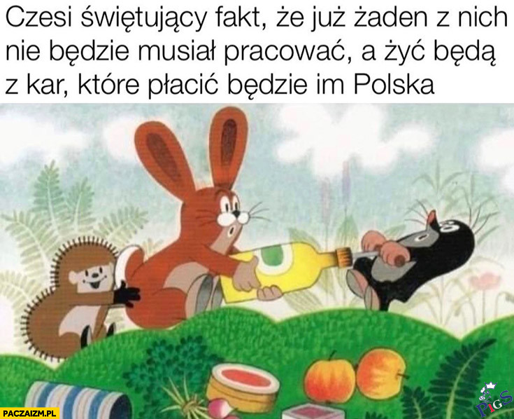 Czesi cieszący się z głupoty Polaków