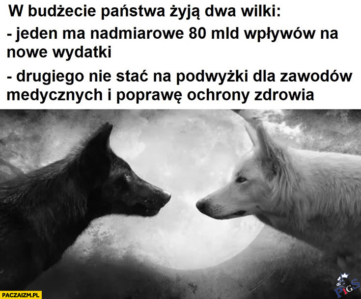 Dwa wilki