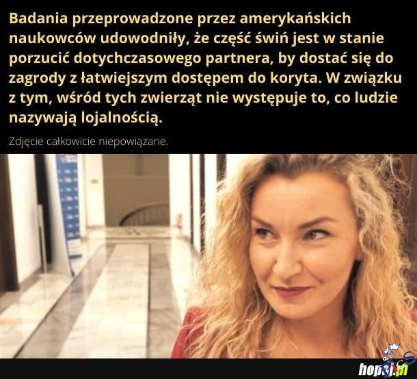 Koryto