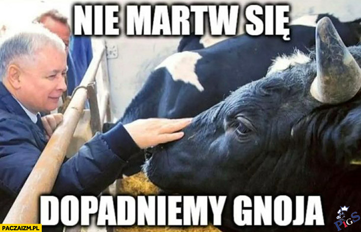 Nie martw się dopadniemy gnoja