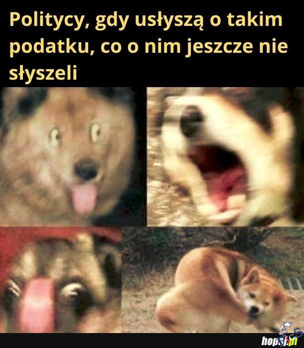 Politycy gdy usłyszą o nowym podatku