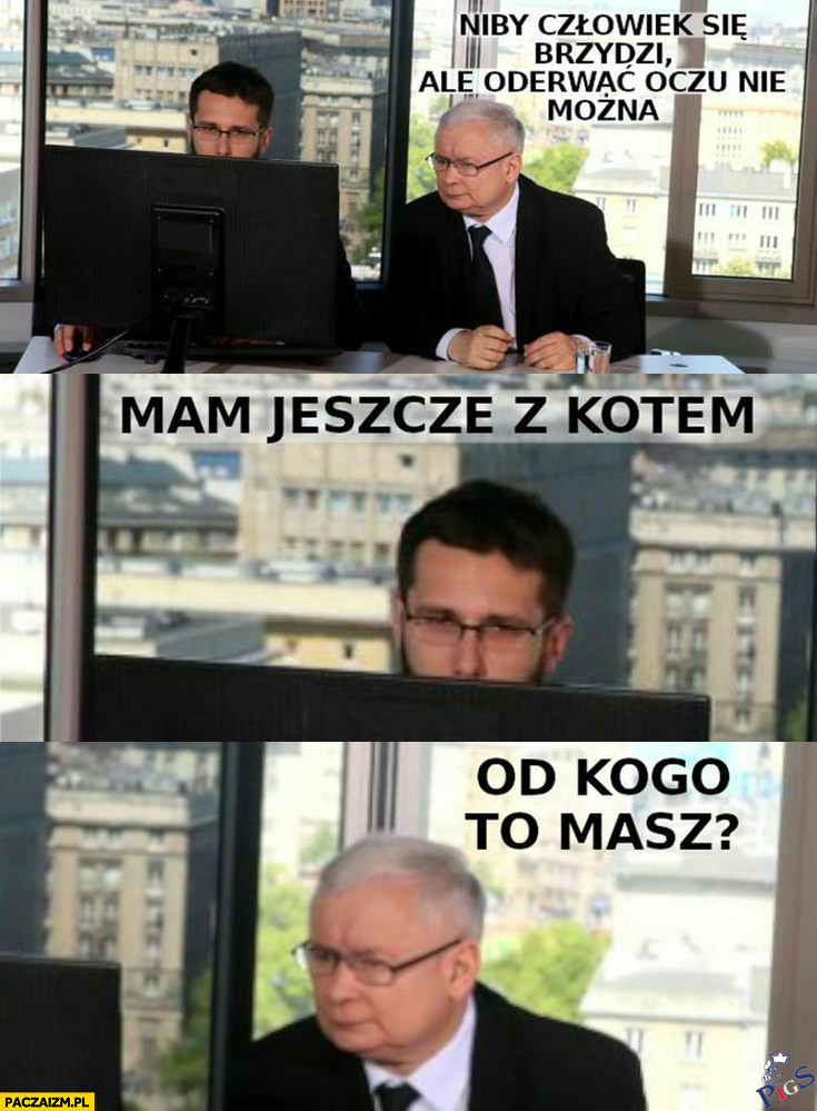Ponoć mają jeszcze z kotem