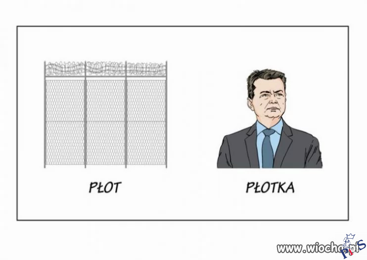Płot i płotka
