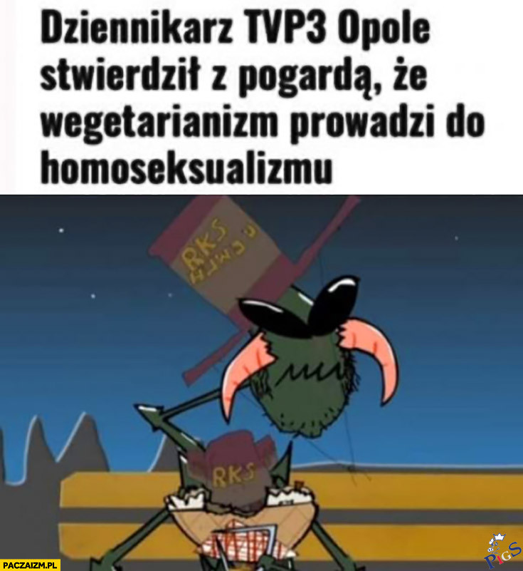 Dziennikarz się zaorał