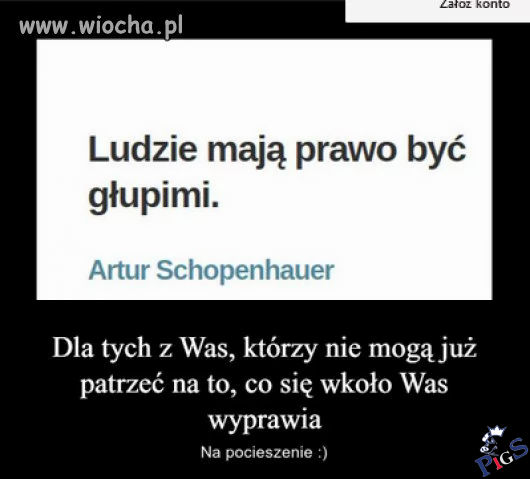 Dla tych, którzy nie mogą już patrzeć na poczynania PiSu