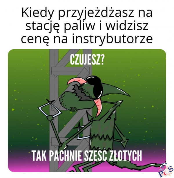 Gdy widzisz cenę na instrybutorze