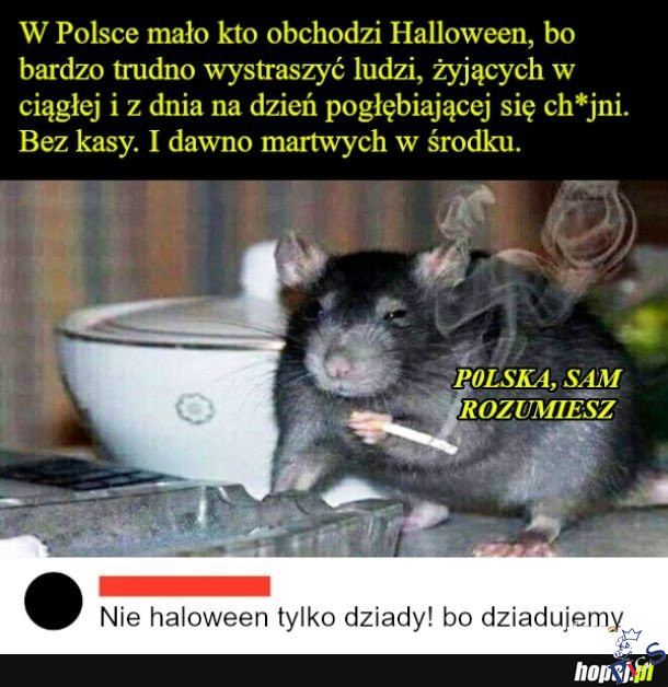 Jaki kraj takie święta