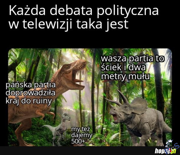 Każda debata polityczna w telewizji taka jest