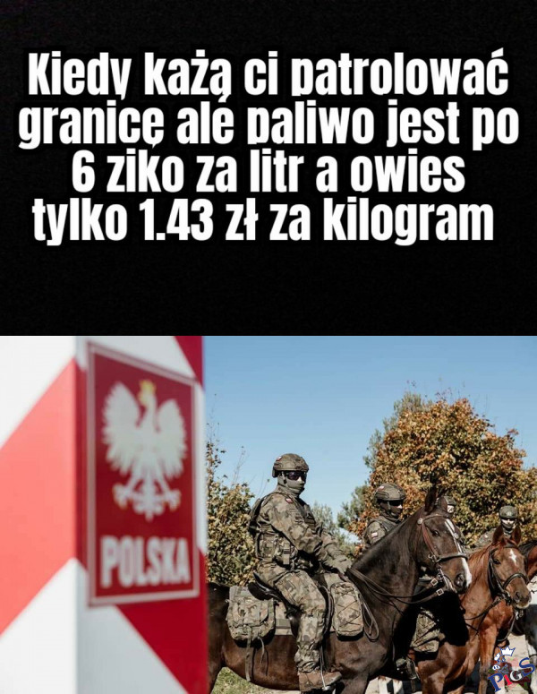 Kiedy każą ci patrolować granicę