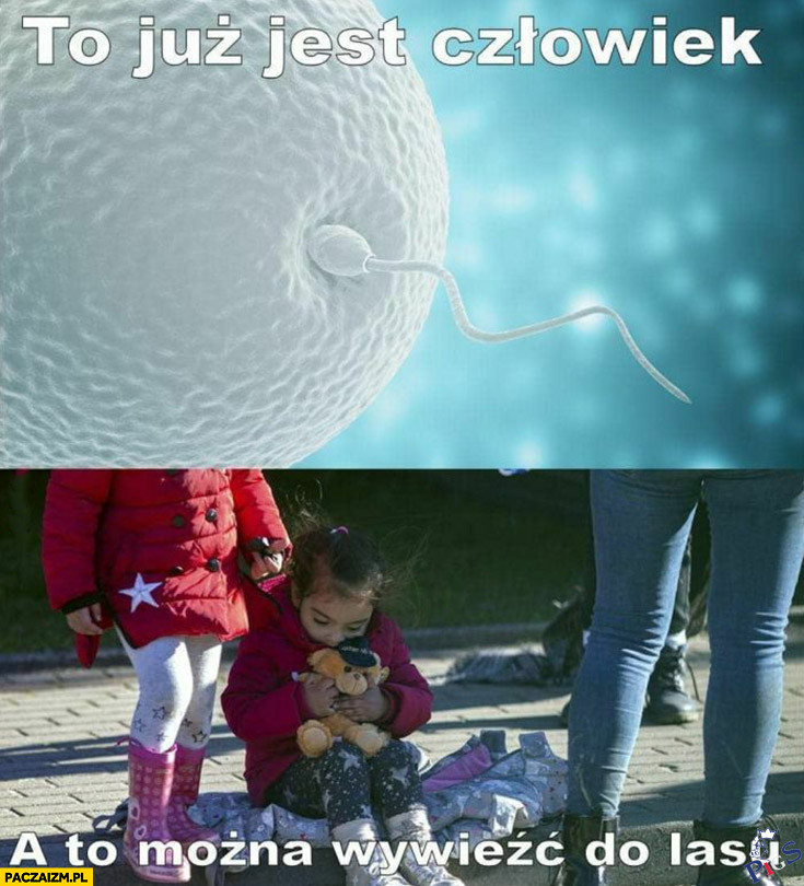 Logika Kaczyńskiego