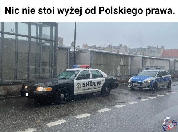 Nic nie stoi wyżej od polskiego prawa