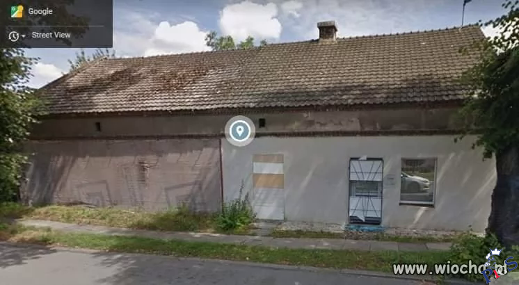 Nie tylko firma może być krzakiem i na słupa