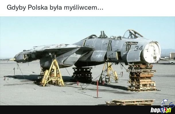 Państwo z dykty na przykładzie myśliwca