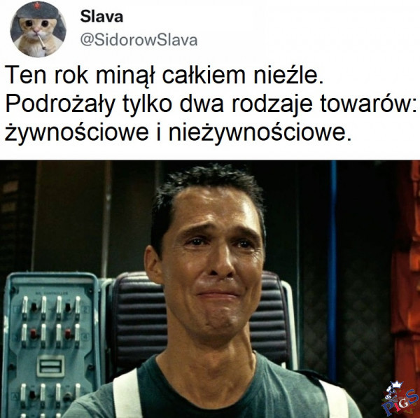 Brawo PiS