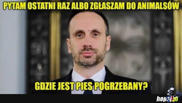 Gdzie jest pies pogrzebany?
