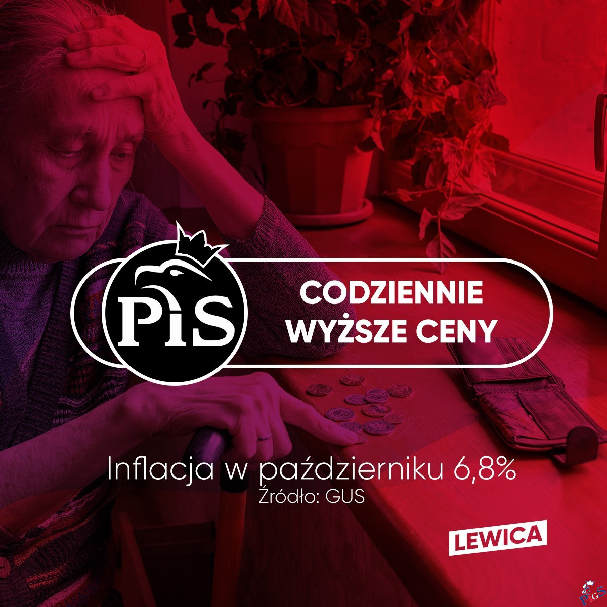 PiS – codziennie wyższe ceny