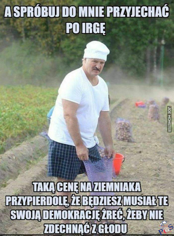 Piechociński płakał jak lajkował