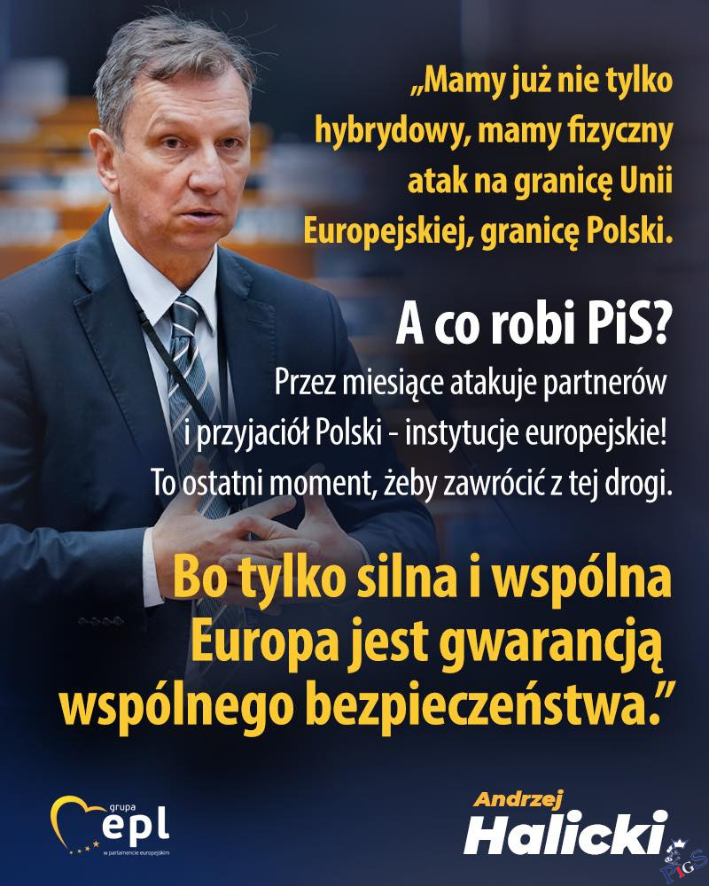 Pies, który gryzie karmiącą dłoń