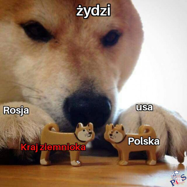 Polska vs. Białoruś