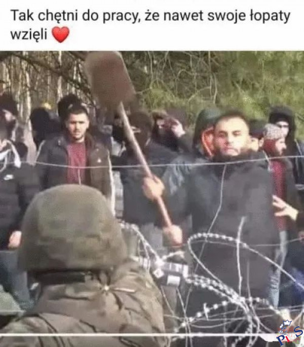 Pracuś