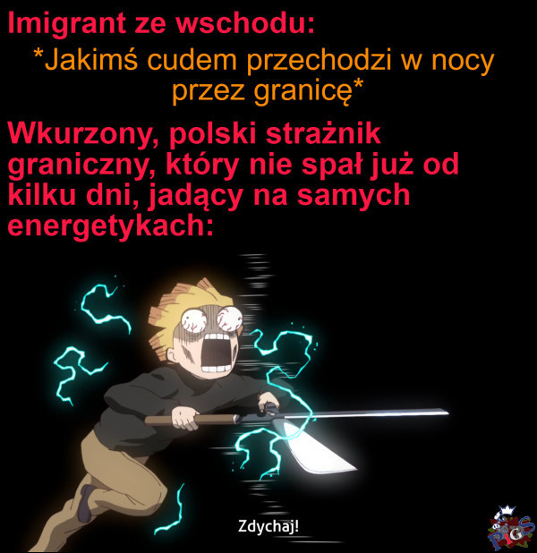 SG i WP